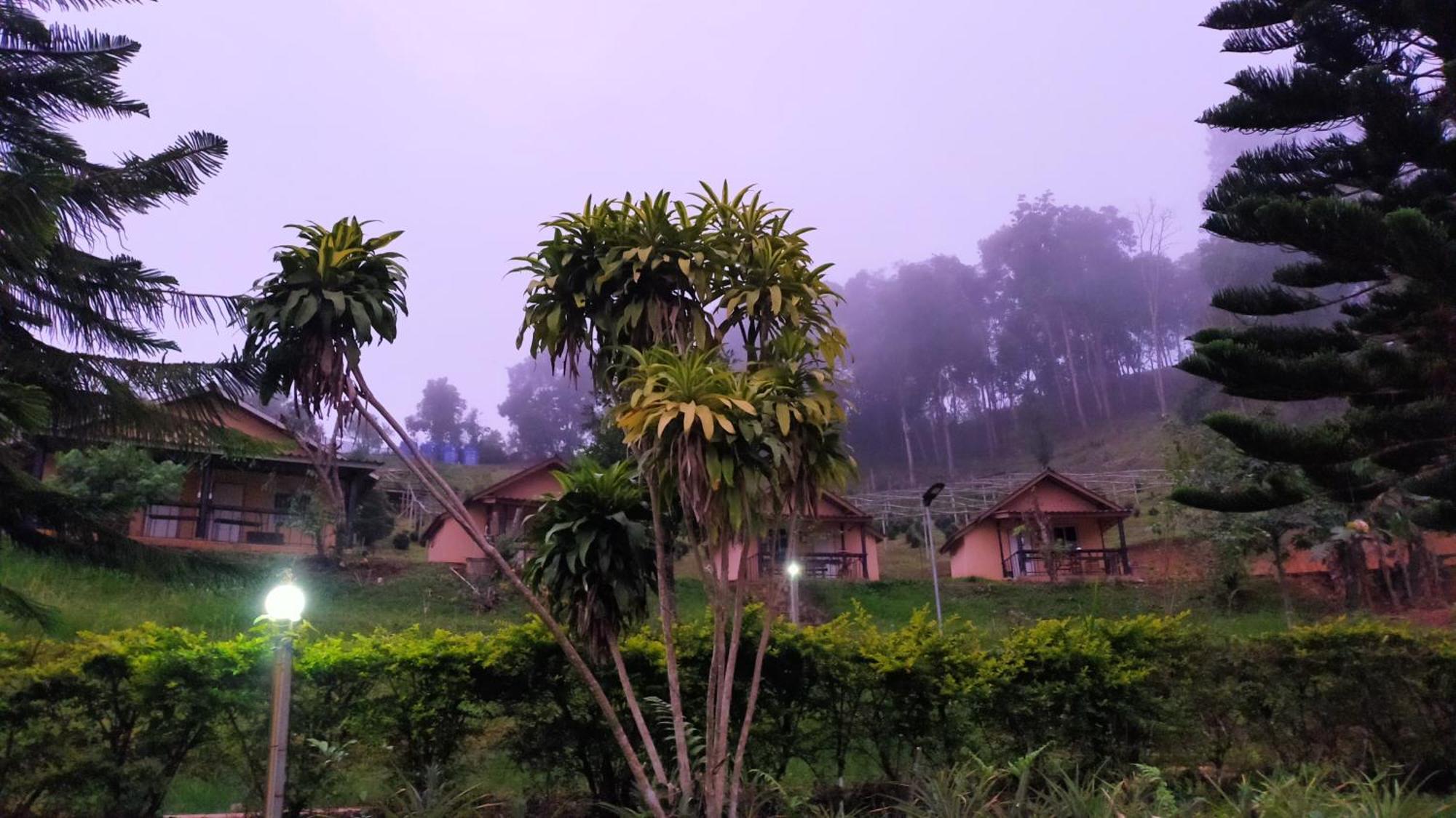 Mong Homestay Resort Pang Ung Esterno foto