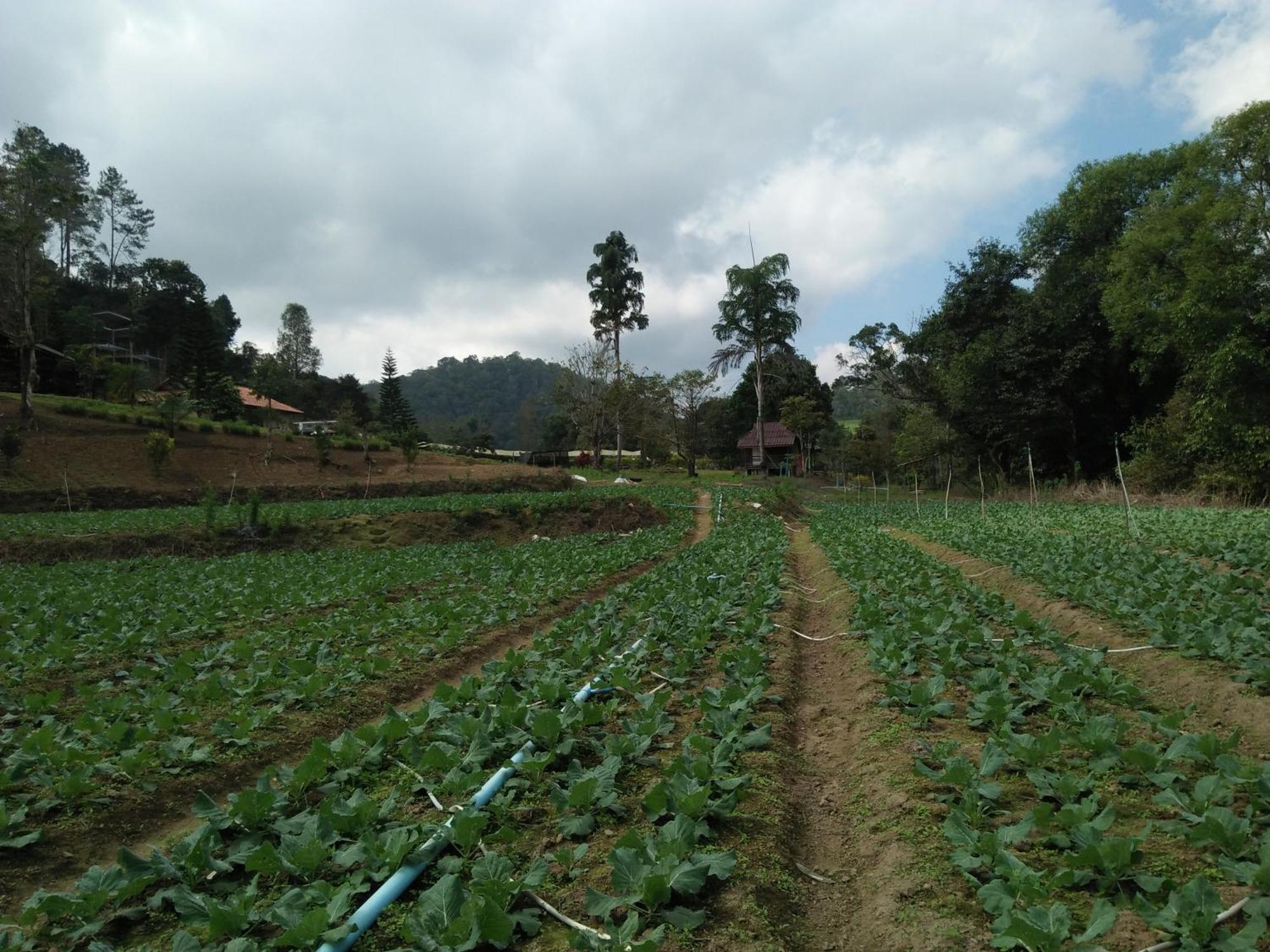 Mong Homestay Resort Pang Ung Esterno foto