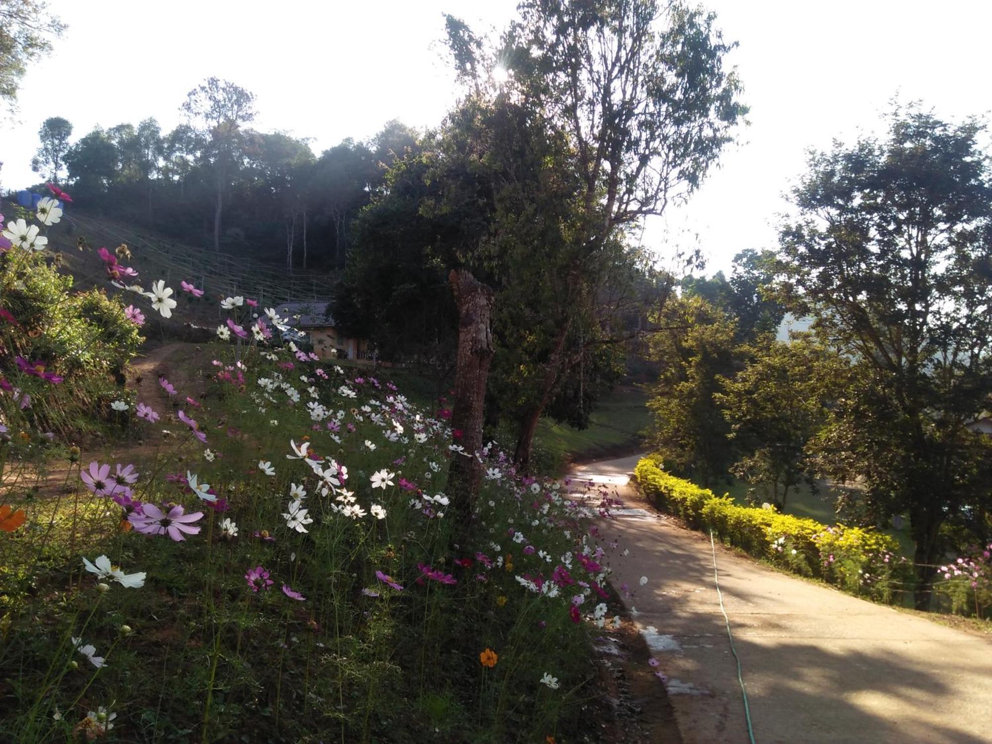 Mong Homestay Resort Pang Ung Esterno foto